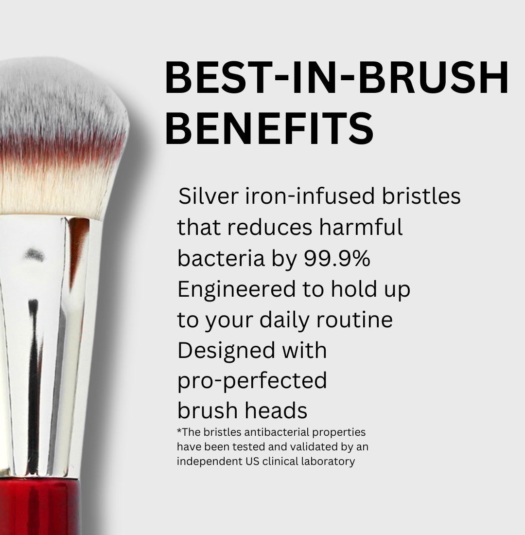 Veilli 12 Pcs Complete Makeup Brush Set – Beginner-Friendly, Professional in Results